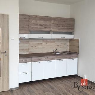 Pronájem bytu 1+kk a garsoniéry 31 m² Česká Lípa, Jižní