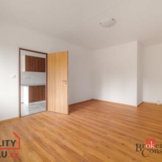 Pronájem bytu 2+1 59 m², Stadtrodská