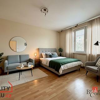 Pronájem bytu 1+1 30 m² Louny
