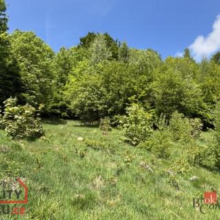 Prodej stavební parcely 1161 m² Janov nad Nisou