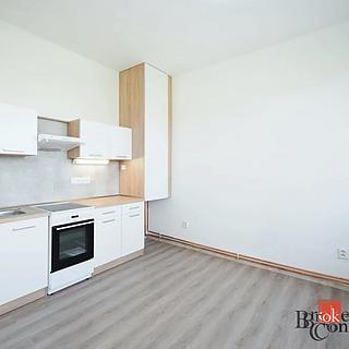 Pronájem bytu 2+kk 50 m² Mlékojedy