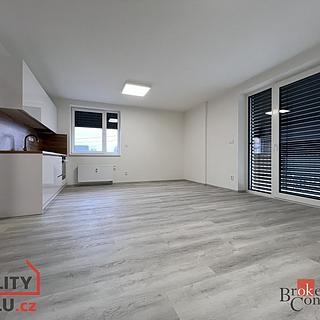 Pronájem bytu 1+kk a garsoniéry 39 m² Ostrava Muglinov, Sklářova