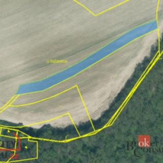 Prodej zemědělské půdy 2 650 m² Šťáhlavy