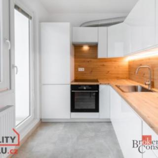 Pronájem bytu 2+1 54 m² Beroun -Město, Švermova