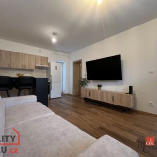 Pronájem bytu 1+kk, garsoniery, 33m²