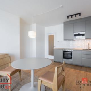 Pronájem bytu 1+kk a garsoniéry 32 m² Praha Holešovice, U průhonu