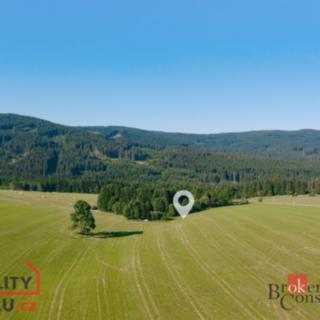 Prodej stavební parcely 1 400 m² Říčky v Orlických horách