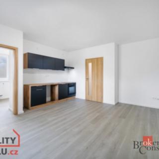 Pronájem bytu 2+kk 39 m² Břasy