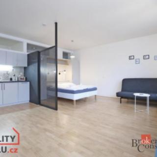 Pronájem bytu 1+kk a garsoniéry 47 m² Liberec I-Staré Město, Sokolská