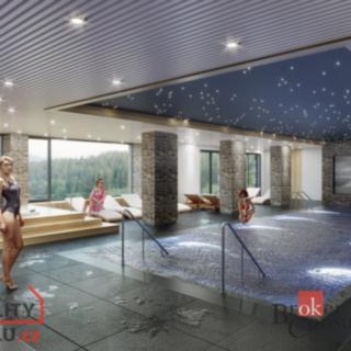 Prodej bytu 1+kk a garsoniéry 29 m² Černý Důl