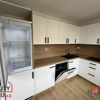 Pronájem bytu 3+kk 60 m² Opava