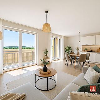 Prodej bytu 4+kk 100 m&sup2; Plzeň