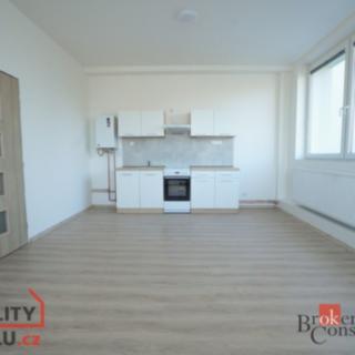Pronájem bytu 1+kk a garsoniéry 34 m² Mlékojedy