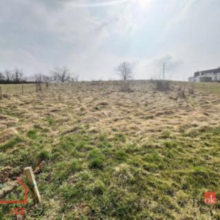 Prodej stavební parcely 1377 m² Sendražice