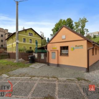 Prodej restaurace 90 m² Kostelec nad Orlicí, Mánesova