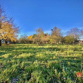 Prodej stavební parcely 1049 m&sup2; Otice