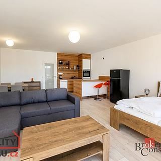 Prodej bytu 1+kk a garsoniéry 53 m² Železná Ruda, Javorská