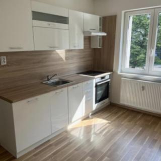 Pronájem bytu 1+1 37 m² Ostrava Mariánské Hory, Cottonové