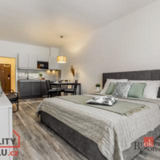 Prodej bytu 1+kk, garsoniery 40 m² Lipno nad Vltavou