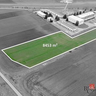 Prodej zemědělské půdy 8453 m&sup2; Perná