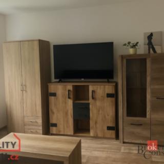 Prodej bytu 2+1 54 m² Planá, Wolkerova