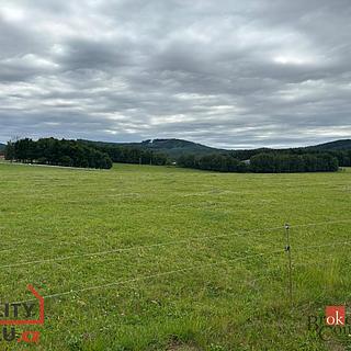 Prodej ostatního pozemku 1 269 m² Slavče