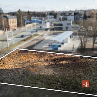 Pronájem komerčního pozemku 542 m&sup2; Hradec Králové