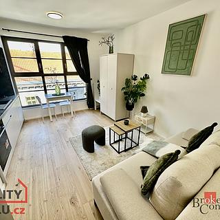 Pronájem bytu 1+kk a garsoniéry 24 m² Brno Zábrdovice, Bratislavská