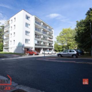 Prodej bytu 3+1 67 m² Plzeň Severní Předměstí, Elišky Krásnohorské