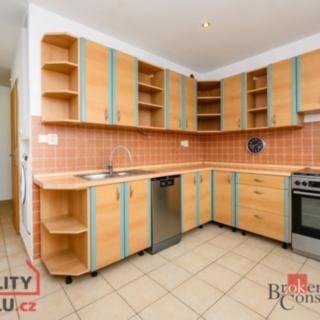 Pronájem bytu 3+1 71 m² Horní Bříza, Družstevní
