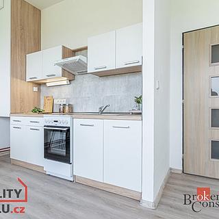 Pronájem bytu 2+kk 54 m² Mlékojedy