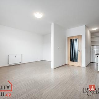 Pronájem bytu 1+kk a garsoniéry 37 m² Brno Židenice, Táborská