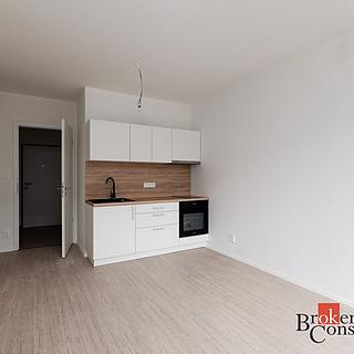 Pronájem bytu 1+kk, garsoniery 27 m&sup2; Plzeň