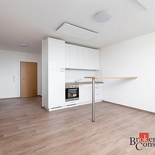 Pronájem bytu 1+kk a garsoniéry 20 m² Bruntál, Příčná