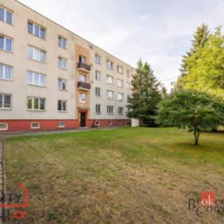 Pronájem bytu 3+kk 67 m² Hradec Králové