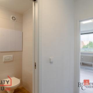 Pronájem bytu 1+kk a garsoniéry 28 m² Brno Bohunice, Ukrajinská