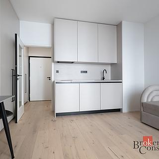 Pronájem bytu 1+kk, garsoniery 25 m&sup2; Praha
