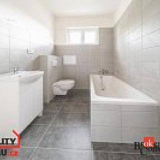 Pronájem bytu 1+1 37 m² Ostrava Mariánské Hory, Cottonové