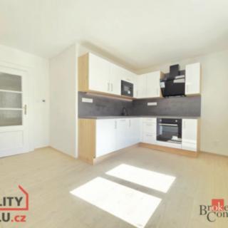 Pronájem bytu 1+1 50 m² Plzeň Jižní Předměstí