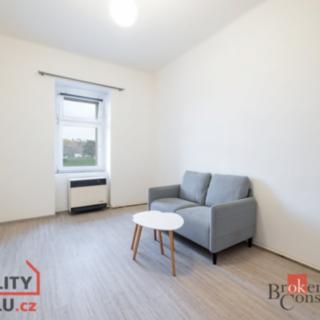 Pronájem bytu 1+1 36 m² Praha Bubeneč, Papírenská