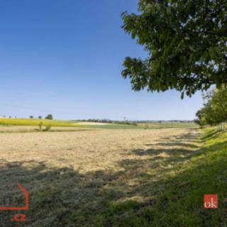 Prodej stavební parcely 3 221 m² Olešenka