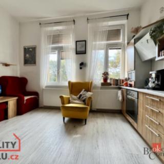Pronájem bytu 2+kk 52 m² Opava Předměstí, Joy Adamsonové