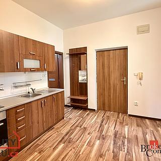 Pronájem bytu 1+1 45 m² Ostrava Přívoz, Špálova