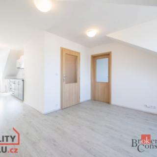 Pronájem bytu 2+kk 46 m² Praha Bubeneč, Papírenská