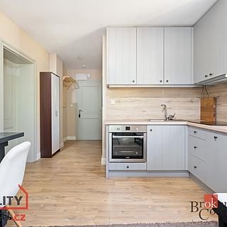 Pronájem bytu 1+1 35 m² Vochov