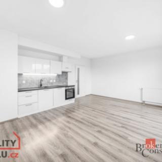 Pronájem bytu 1+kk a garsoniéry 35 m² Heřmanova Huť Vlkýš, U Pondu