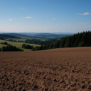 Prodej zemědělské půdy 54 810 m² Bohdašín