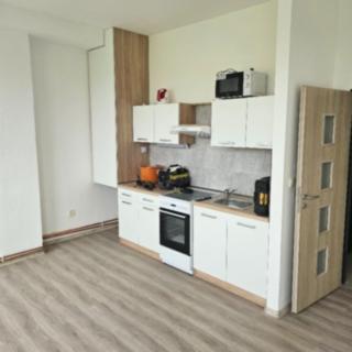 Pronájem bytu 3+kk 65 m² Mlékojedy