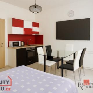 Prodej bytu 1+kk a garsoniéry 26 m² Brno Zábrdovice, Vlhká