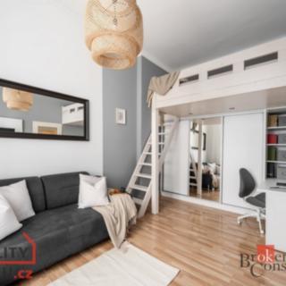 Prodej bytu 1+1 31 m² Praha Karlín, Březinova